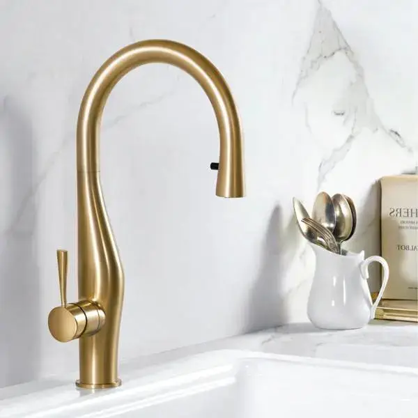 ברזי מטבח מקלחון שופס